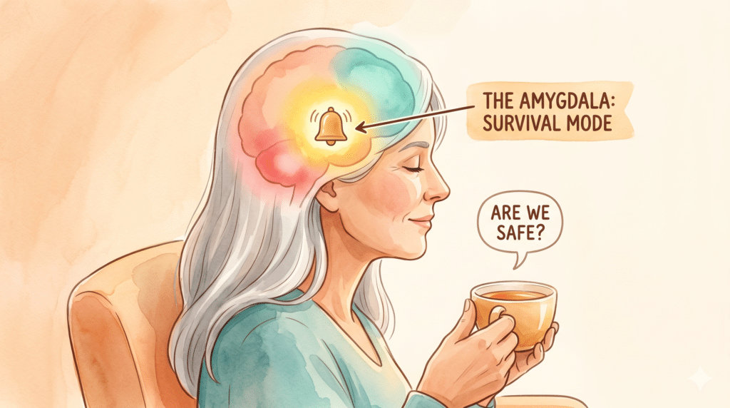 amygdala-survival-mode