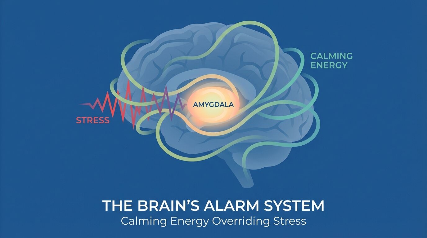 illustration of a brain alarm system