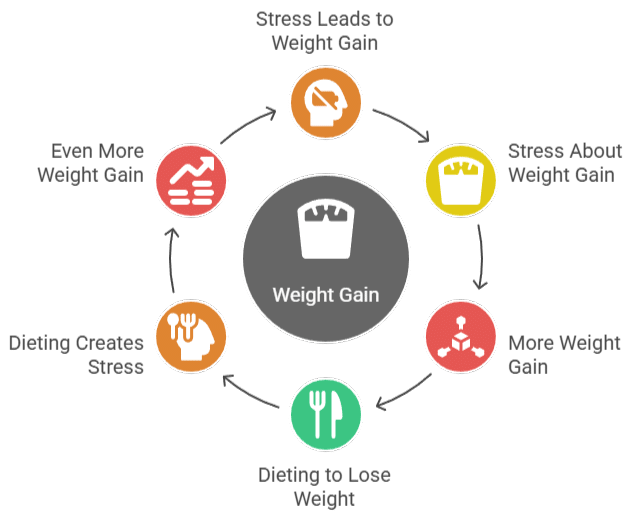 Illustration of the stress weight gain cycle